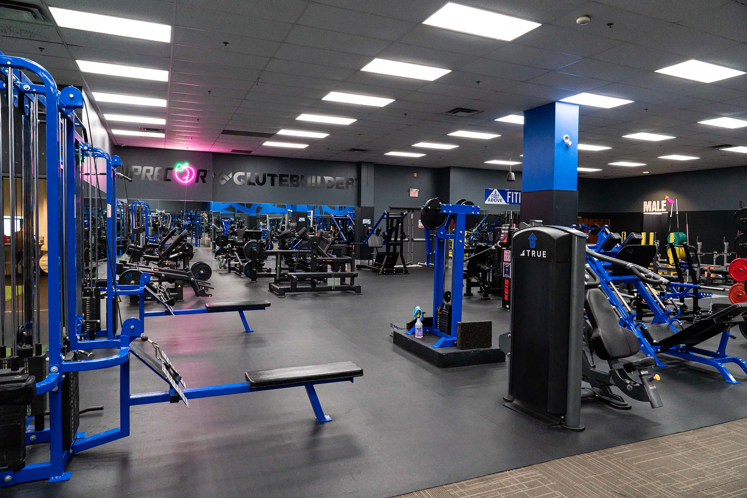 Cable complex, glute builder machines and so much more at A Foot Above Fitness